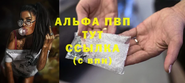 молекула духа Алексин