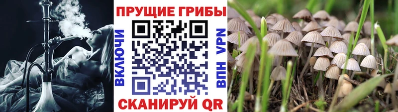 МЕГА как войти Моздок Галлюциногенные грибы мухоморы